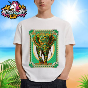 Dave Matthews Band Summer Tour Poster 2025 Art Work Fan Gift Unisex T-Shirt